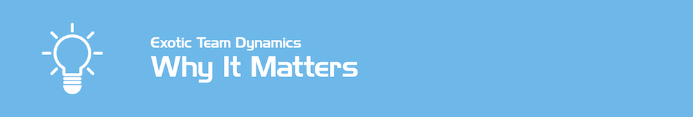 exotic-team-dynamics---spacer---matters---lwres